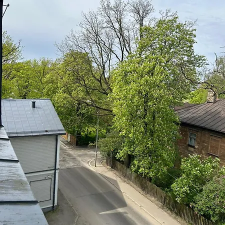 Pine Cone Cozy 里加