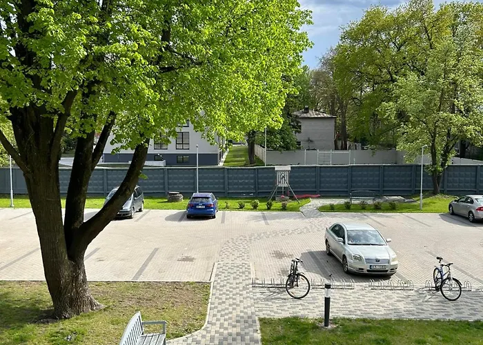 Pine Cone Cozy Apartment